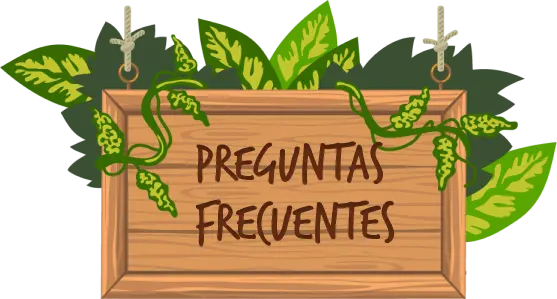 Preguntas Frecuentes